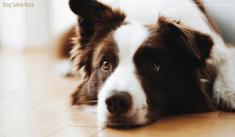 サンプルサイト画像4