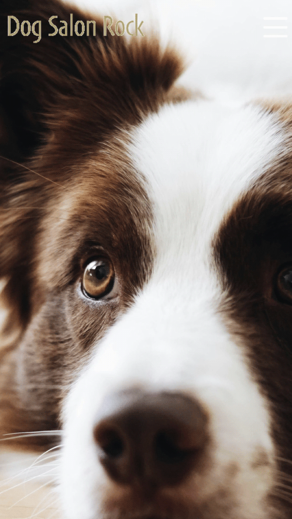 サンプルサイト画像4